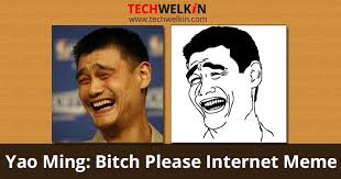 Check spelling or type a new query. Bitch Please Read The Story Of Internet Meme Of Yao Ming S Face
