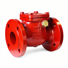 Various Brands Non-Return Valve (Check Valve), Flanged Type ...