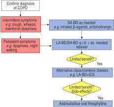 Standards For The Diagnosis And Treatment Of Patients With