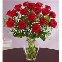 1800 flowers french bouquet las vegas. Everyday Gifts Flowers Las Vegas Nv Same Day Same Day Flower Delivery Delivery