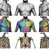 Anatomy of the short head of the biceps brachii muscle. Https Encrypted Tbn0 Gstatic Com Images Q Tbn And9gcsychu7e7mr0kbegy Vw8jxhaw4vyduzvgn5pgf8zs8vhupxh31 Usqp Cau