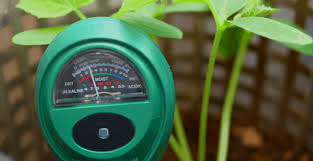 These fertilizers are easy to use and the instructions typically suggest to feed the plants with the solution every two weeks. Acid Loving Houseplants Facts Photos Tips Plantophiles