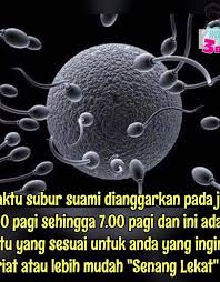 Ini adalah masa yang paling subur dalam kitaran haid seseorang wanita. Waktu Subur Suami Dianggarkan Pada Jam 4 00 Pagi Hingga 7 00 Pagi