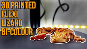 Some of the things you can do with flexispy. 3d Printed Flexi Lizard Bi Colour Youtube