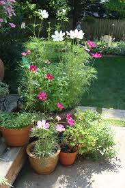 Pin On Garden Containers
