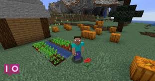 Check spelling or type a new query. Les Utilisations Des Graines De Betterave Dans Minecraft Moyens I O