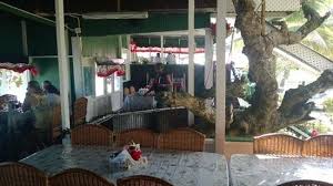 Melhor lugar em speyside de jemma's seaview kitchen. Restaurant Picture Of Jemma S Seaview Kitchen Speyside Tripadvisor