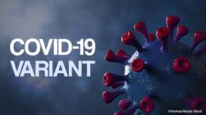 Covid-19: Study IDs 7 U.S. Variants; U.K. Strain More Lethal;  'Breakthrough' Cases Appearing Post-Vax | Physician's Weekly