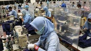 Pt astra internasional tbk, pemegang saham utama pt united tractors tbk, merupakan salah satu perusahaan see more of pt pama persada nusantara on facebook. Daftar Perusahaan Yang Dapat Blt Bpjs Ketenagakerjaan Ditransfer Rp 1 2 Juta Mulai 27 Agustus 2020 Tribun Kaltim