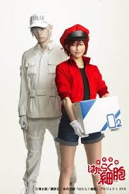 Cells At Work Stage Play Reveals Cast In Costume News Anime News Network Couples Cosplay Stage Play Family Cosplay