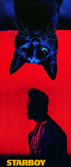 The weeknd memes the weeknd poster abel and bella abel the weeknd abel makkonen beauty behind the madness bae documentary film baby daddy. Starboy Luther Jr Abel The Weeknd Poster The Weeknd The Weeknd Albums