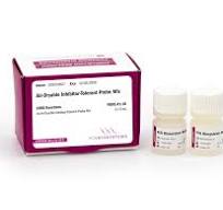 Polymerase Chain Reaction Products - PCR Reagents | PCR ...