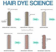 Let S Talk Ammonia En 2020 Coiffure