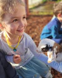 The Saltus U13 football team has once again claimed the Division 1  championship as at the prestigious Canadian Association of Independent  Schools (CAIS) U13 tournament @cais_schools. In an exciting final match,  Saltus