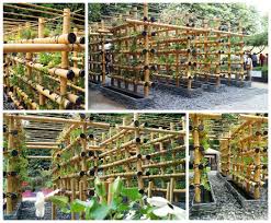 Many home gardeners feel nervous about its ability to grow at an. Bamboo Gardendesign Gardenideas Gardeningtips Gar In 1001 Gardens Ideas Scoop It