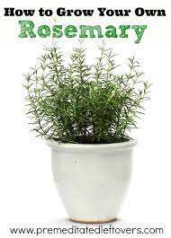 Pin On The Best Gardening Tips For Home Gardeners