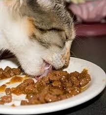 Perhatikan gambar toko makanan hewan tersebut. Makanan Kucing Wikipedia Bahasa Indonesia Ensiklopedia Bebas