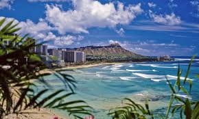 $22.50 $33.50 (11) more colors available. How To Travel To Honolulu On Points And Miles Nerdwallet