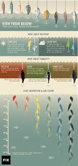 Bass Fishing Color Chart Bahangit Co