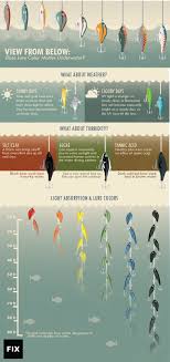 bass fishing color chart bahangit co