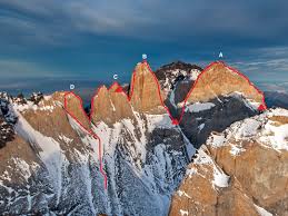 Image result for Brachystegia torrei