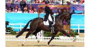 Cdcta is an affiliated combined training association, a usdf gmo, and a 501(c)(3) not for profit corporation, organizes two usea horse trials per year, one spring and one fall. Dressage Horse