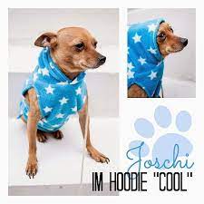 Schnittmuster kostenlos nähen schnittmuster halstuch nähen kapuzenschal stricken schal nähen haekeln kinder pullover stulpen bommel machen nähen für kinder kapuze jungs schnittchen. Free Book Hundehoodie Hunde Pullover Kleidung Fur Hunde Hunde Sachen