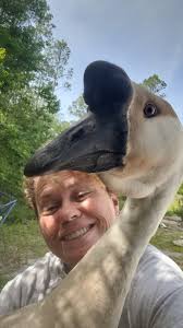 Parents Day Out!! Fun times!! Thanks to our staff Yalanda Cork Jacqueline  Smith Gaston and Mariyah!! Thanks to Elder Fox and Kenneth Howard for  security!! Thanks Bently Davis for all your help!!