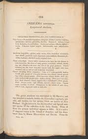 Image result for Aneilema dispermum