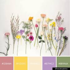 Floral Flowers Spring Flatlay Color Palette Inspiration Digital Art Palette And Brand Color Palette Spring Color Palette Brand Color Palette Color