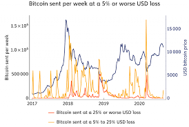 Also a pa can work in any specialty. Is Bitcoin S Drop To 10 000 A Worry If You Re A Hodler 1010 Team
