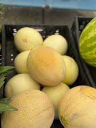 Receiving my reward ✨ from Mcguffey Lee Jeff Mc BladeSmithing✨ food  preparation will be posted tomorrow around 3pm #spiritualbodychallege