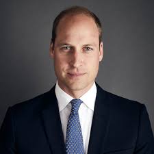 Harrison Fuller (@HarrisonFuller)