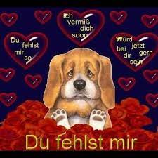 Eine gewähr für richtigkeit oder vollständigkeit kann nicht übernommen werden. Alte Hunde Suchen Ein Zuhause Startseite Facebook