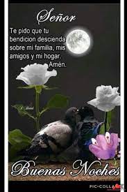 Descargue Bellas Imagenes Y Fotos Para Desearles Buenas Noches A Sus Amigos De Facebook Y Whatsapp Buenas Noches Buenas Noches Frases Mensajes De Buenas Noches