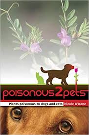 In general, any flower bulb (the part that is planted underground) is poisonous to dogs, so it is best to only bring the cut flowers into your house. Poisonous To Pets Plants Poisonous To Dogs And Cats O Kane Nicole 9780980634808 Amazon Com Books