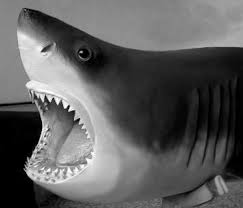 See 54 unbiased reviews of great white, rated 4.5 of 5 on tripadvisor and ranked #240 of 11,577 restaurants in los angeles. Recently Restored 375 Cm Taxidermied Male White Shark Preserved In The Download Scientific Diagram