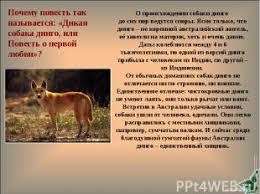 дикая собака динго или повесть о первой любви читать онлайн Prezentaciya Na Temu Kniga Napisannaya Po Veleniyu Serdca Skachat Besplatno Prezentacii Po Literature