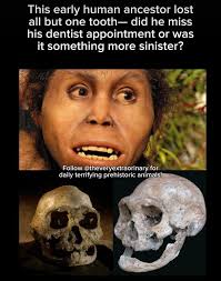 eir mom is only 3 years older than that. In an incredible twist of modern  reproductive science, twins Timothy and Lydia Ridgeway were born from  embryos frozen in 1992 — making them