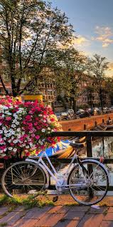 legendy dalekih zemel オランダ旅行 美しい景色 美しい風景