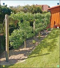 Www Krumme Naturgaerten De Sidebarrechts Gartenbau Img Obst 01 Jpg Vegetable Garden Trellis Garden Trellis Backyard Garden Layout