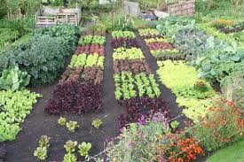 Charles Dowding S No Dig Garden Sigh Growing Vegetables Organic Vegetable Garden Organic Gardening Tips