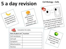 Check spelling or type a new query. 5 A Day Revision Cell Biology Cells Ppt Download