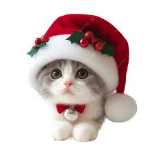 Vector Christmas Cat Sticker Xmas Kitty Stickers Elements Winter  Collection, Vector Kitty, Christmas Sticker Elements, Winter Cat Design PNG  Transparent Image and Clipart for Free Download