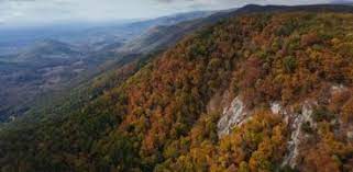 We did not find results for: Osi Support Expands Jones Gap State Park In South Carolina By 25 Percent Open Space Institute En Us