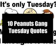 It can be a day where we focus on. Funny Tuesday Quotes Pictures Photos Images And Pics For Facebook Tumblr Pinterest And Twitter