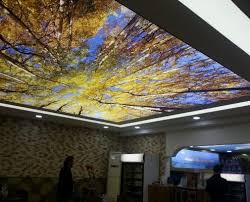 Tags Baskili Gergi Tavan Modelleri 1 1 Our Printed Stretch Ceiling Work Categories Ceiling Art Modern Ceiling Ceiling Installation