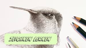 So werden ihre zeichnungen noch interessanter. Zeichnen Lernen Mit Bleistift Kolibrizeichnung Tutorial Youtube