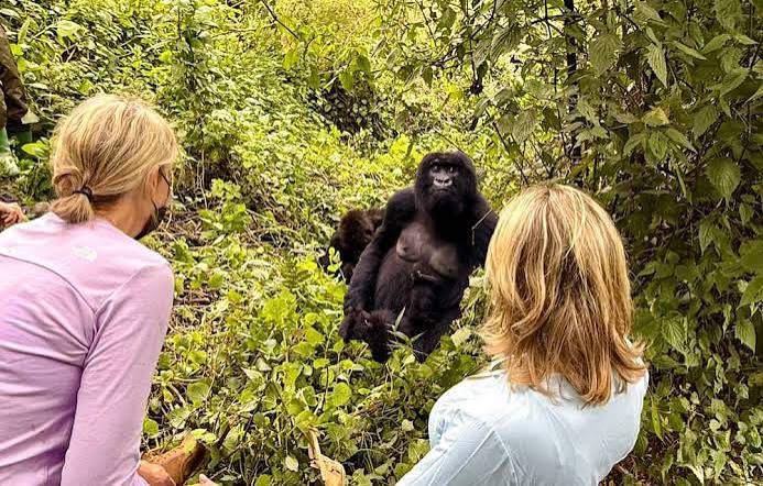 Gorilla trekking in Bwindi: The Short Road: Kigali to Bwindi