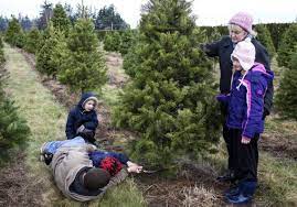 Check spelling or type a new query. Local Farms Offer U Cut We Cut Christmas Trees Bellingham Herald